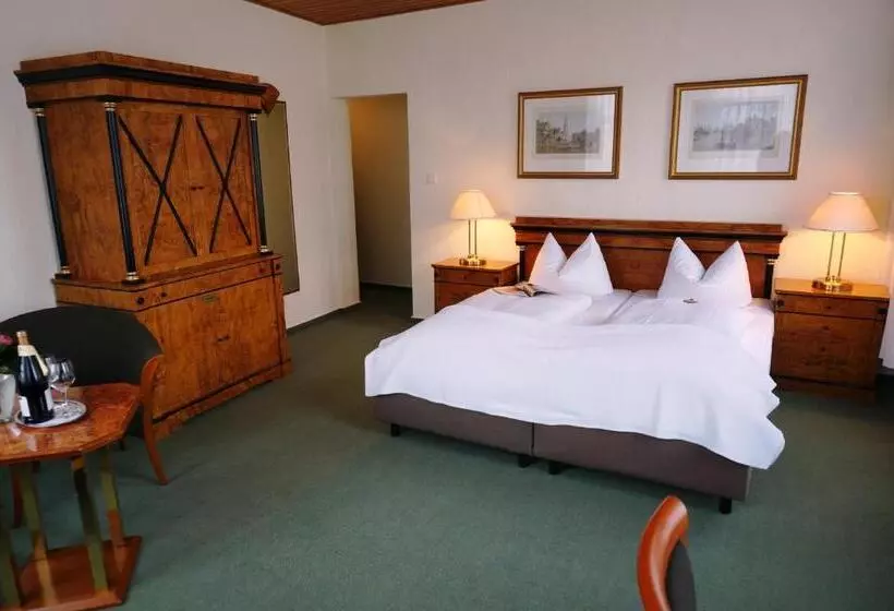 فندق Goldener Anker