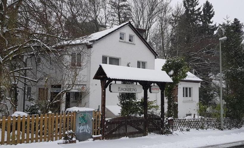 Отель Kronberg