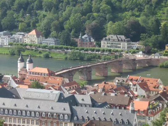 ホテル Rhein-neckar Eppelheim