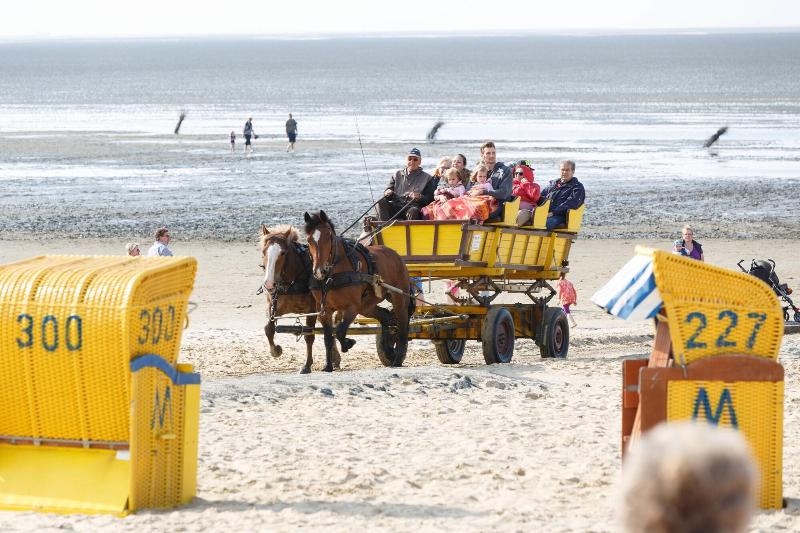 Отель Seeschwalbe