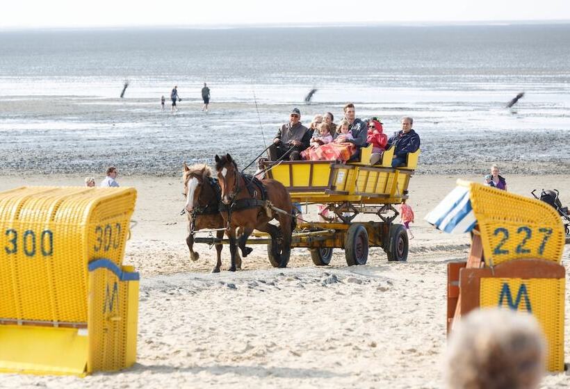 Отель Seeschwalbe