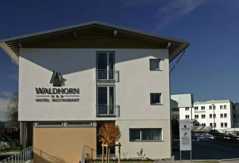 酒店 Waldhorn
