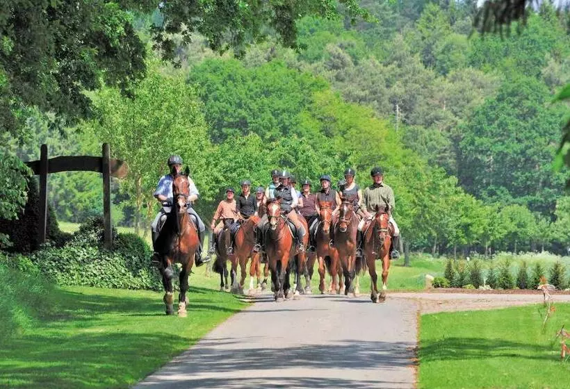 Lindenhof Hotel Tepe