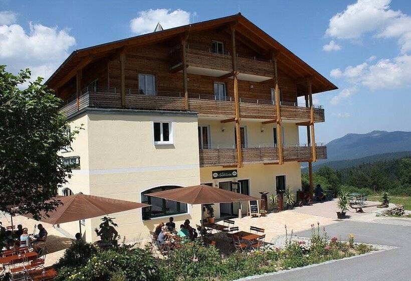 פנסיון Berghotel Mooshütte