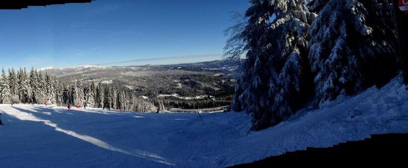 פנסיון Berghotel Mooshütte