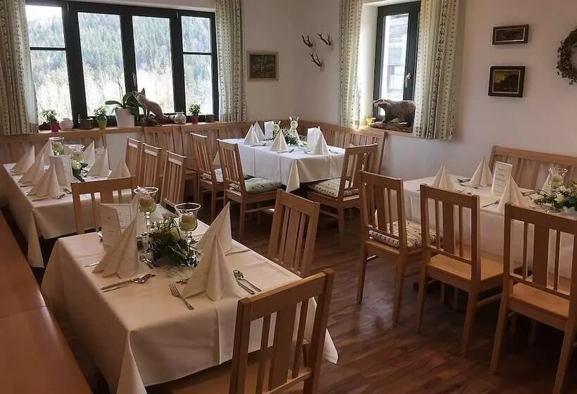 Пансион Berghotel Mooshütte