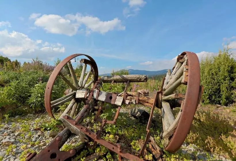 Пансион Berghotel Mooshütte