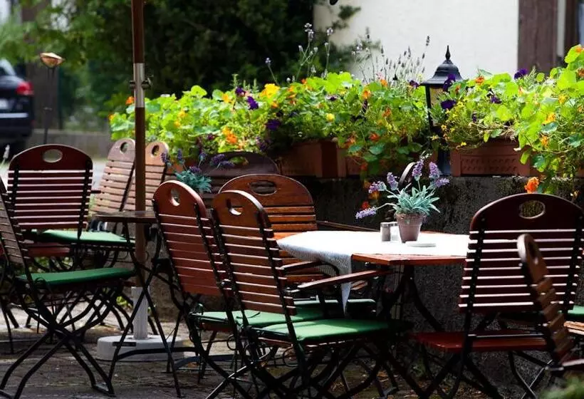 Пансион Gasthof Hotel Zur Post