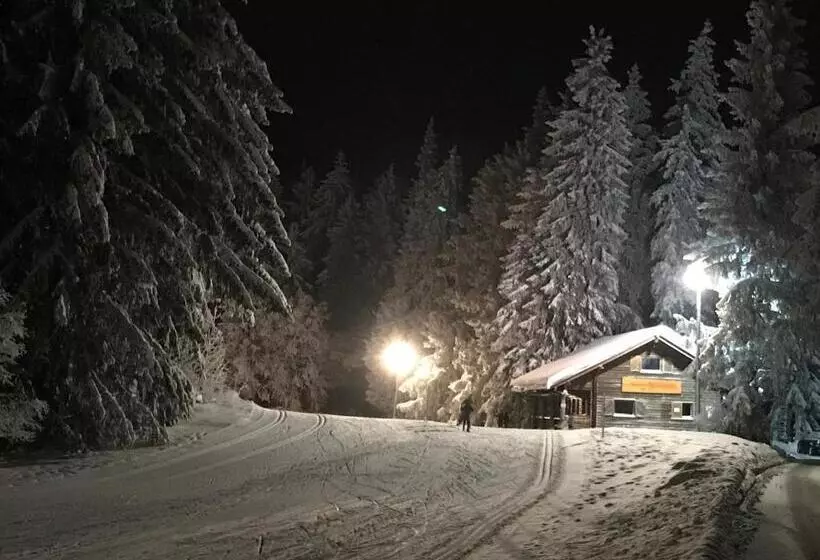 Пансион Höhengasthaus Kolmenhof An Der Donauquelle