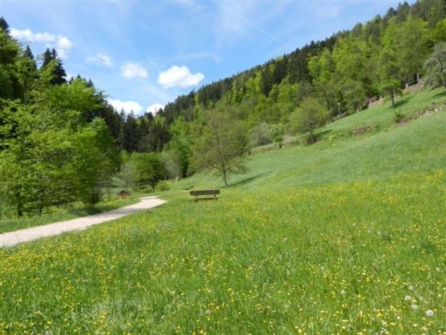 Appartementhaus Wiesengrund