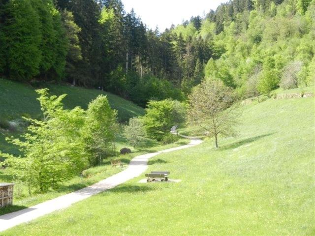 Appartementhaus Wiesengrund