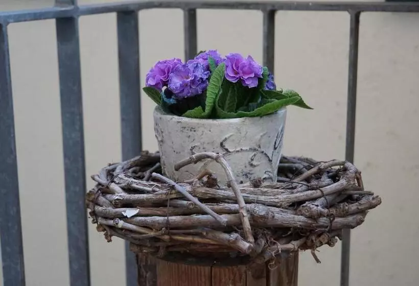 호텔 Adler Botenheim