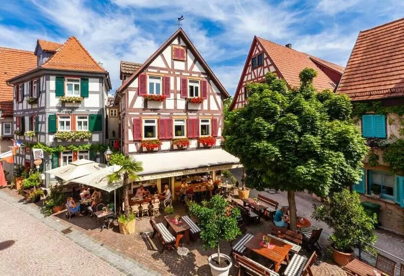 호텔 Berne S Altstadt