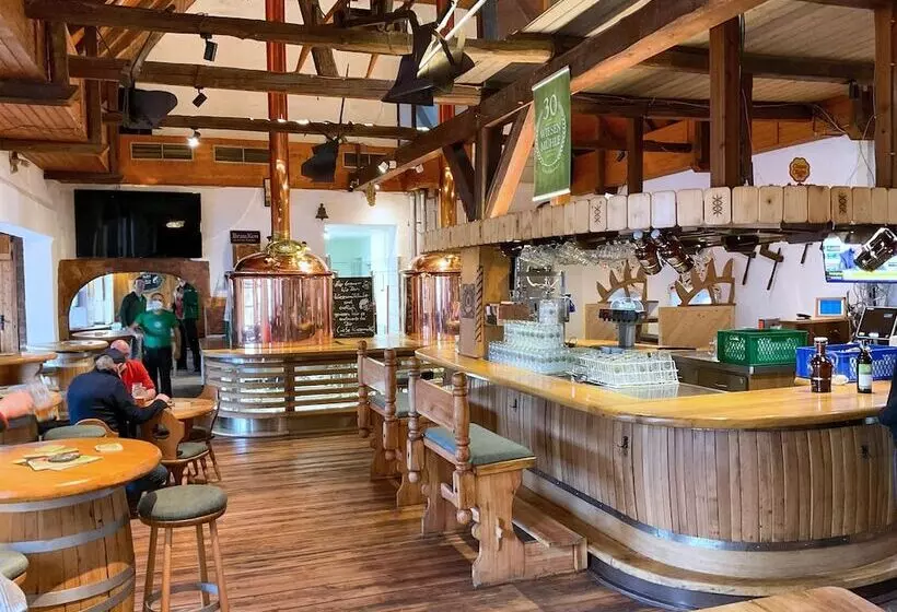 هتل Brauhaus Wiesenmühle