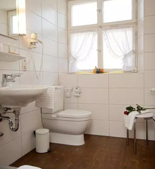 בית מלון כפרי Eisenkrug