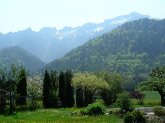 Hotel Ferienwohnung Guder