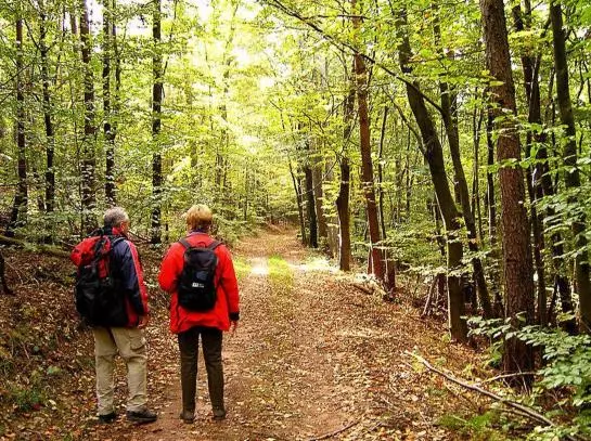 Пансион Gaestehaus Laubertal