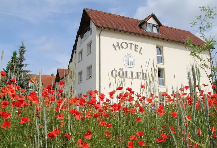 Отель Goller