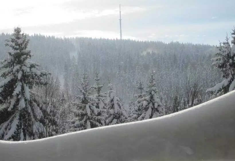 Отель Gästehaus Sonneck