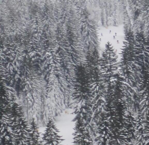 Hotel Gästehaus Sonneck