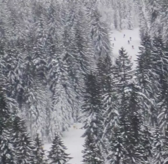 Отель Gästehaus Sonneck