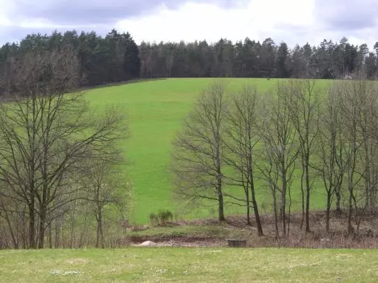 Отель Kastanienhof