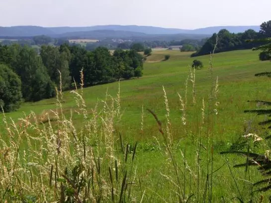 Отель Kastanienhof