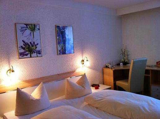 בית מלון כפרי Mayerhofer