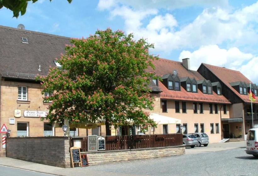 بنسيون Gasthof Land Grüner Baum