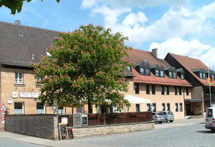 ペンション Gasthof Land Grüner Baum