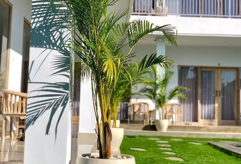 ペンション Bali Intan Canggu