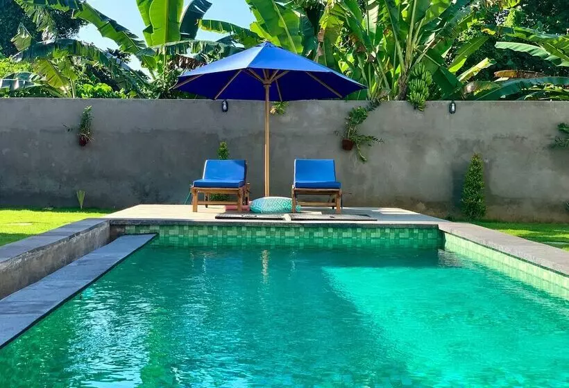 ペンション Bali Intan Canggu