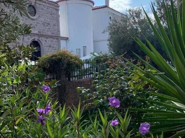 هتل Zarbalı Cunda