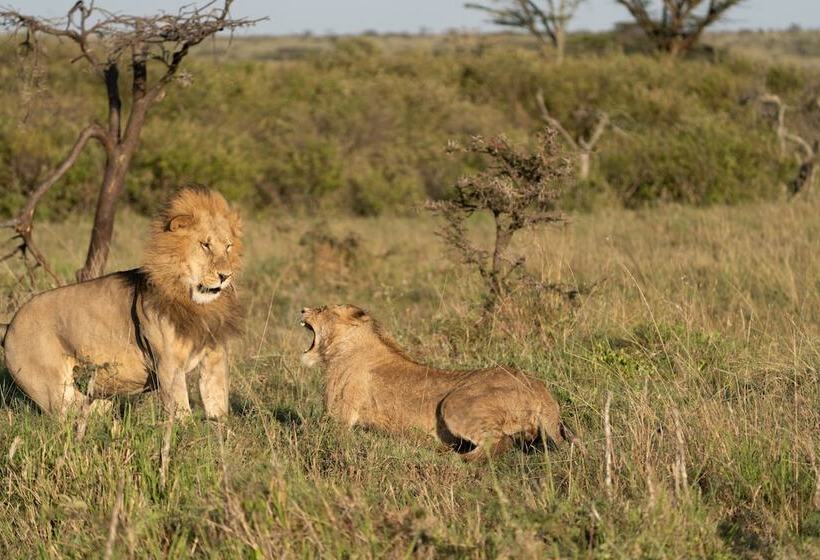 هتل Saruni Leopard Hill