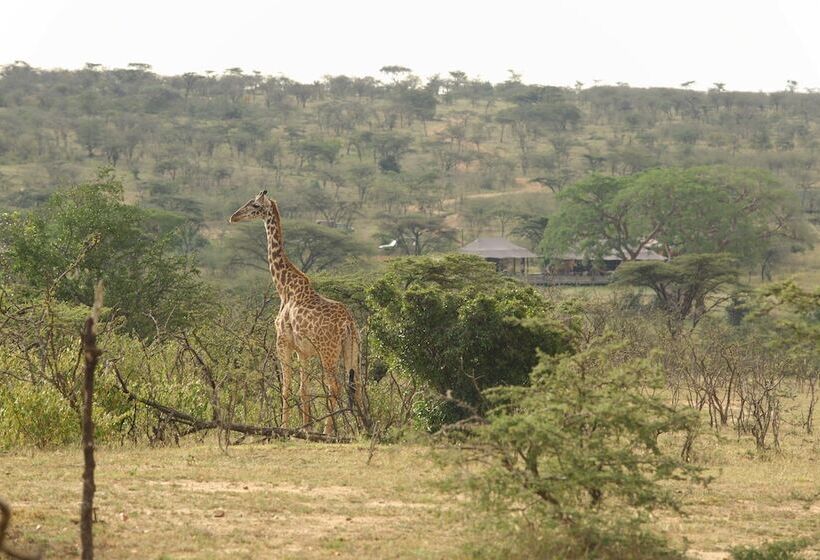 هتل Saruni Leopard Hill