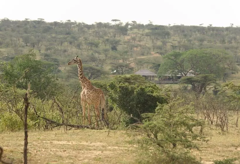 هتل Saruni Leopard Hill