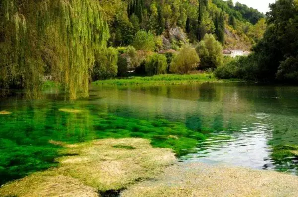 Aamiaismajoitus (B&B) Il Lago Dei Sogni