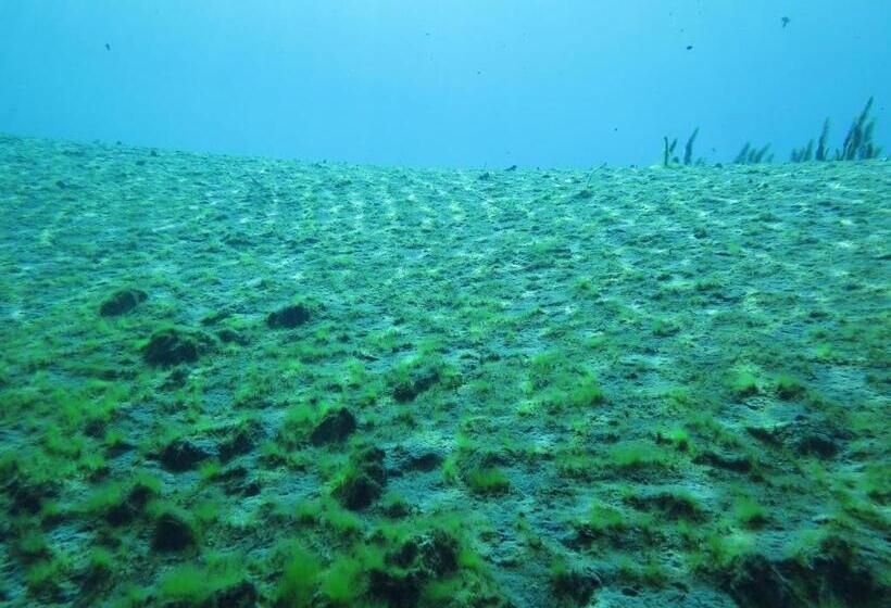 צימר Il Lago Dei Sogni