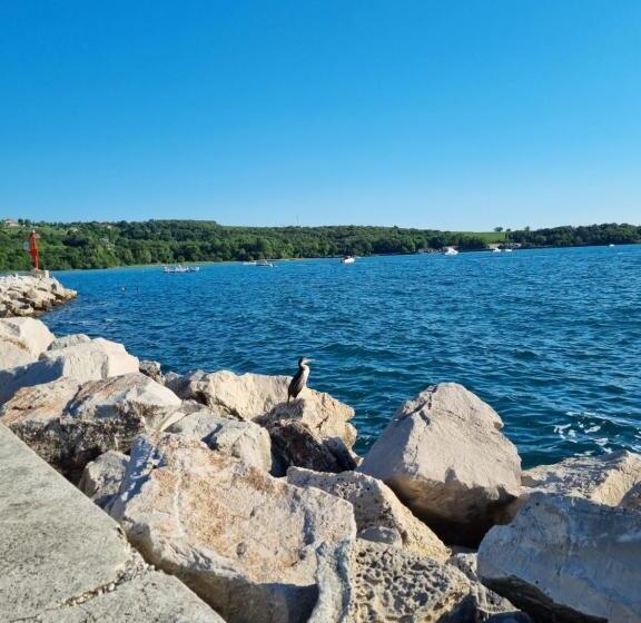 مبيت وإفطار Piccola California