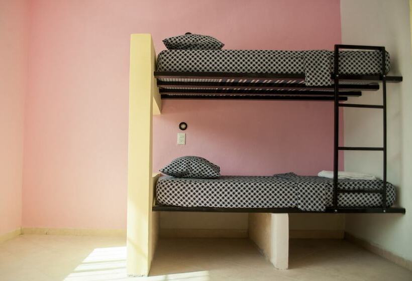 ホテル Coco Hostel