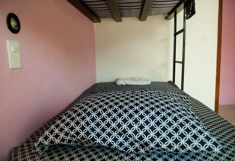 ホテル Coco Hostel