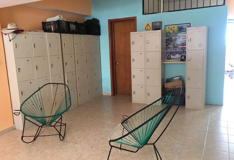 ホテル Coco Hostel