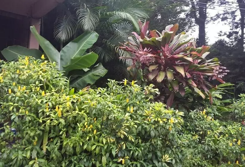 هتل Dream House Escazu