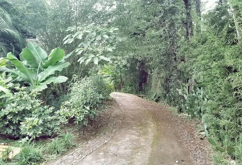 هتل Dream House Escazu