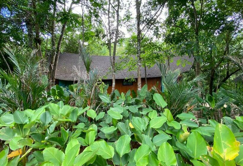 פנסיון Ton Phrae Thong Villa