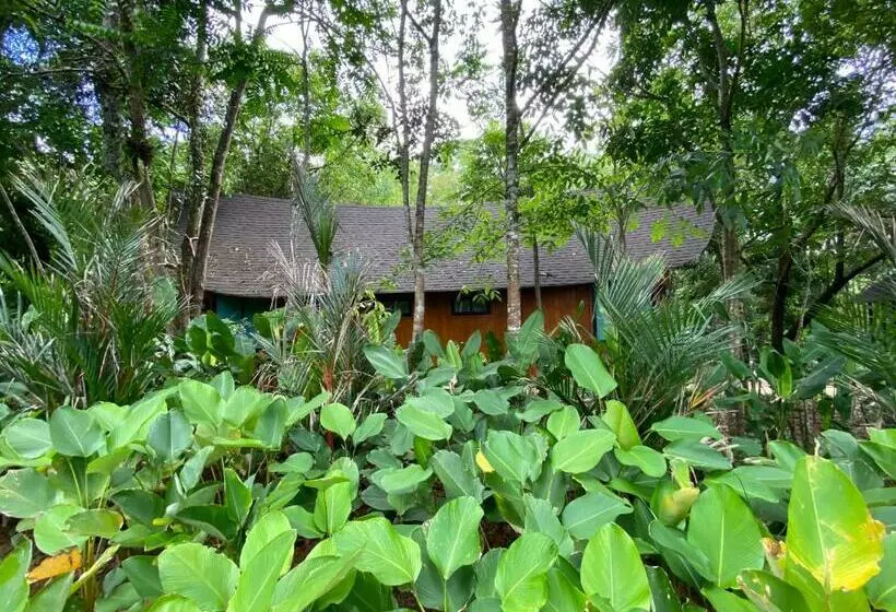 Majatalo Ton Phrae Thong Villa