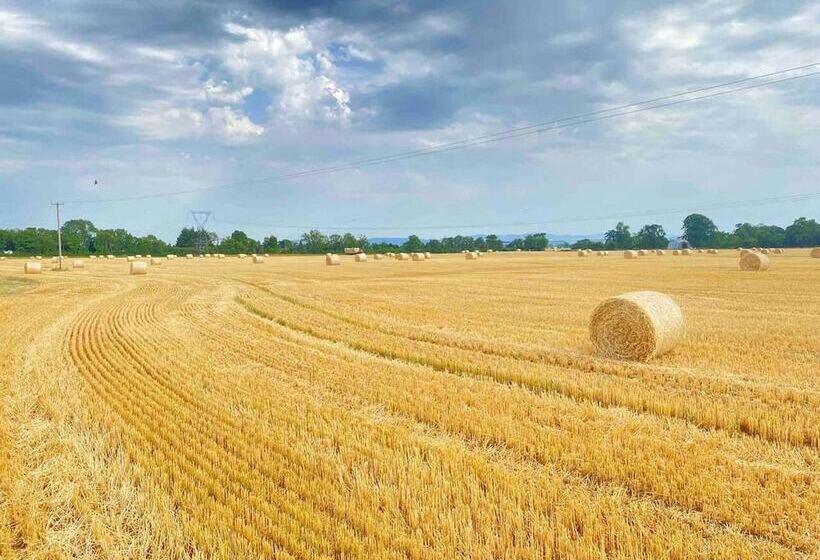 Beautiful Countryside House With Jacuzzi Close To Dublin City