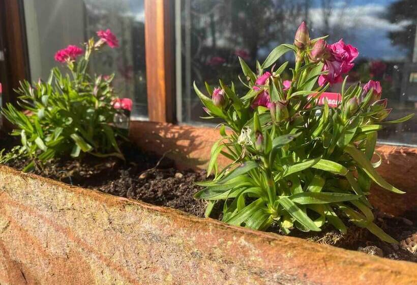 Beautiful Countryside House With Jacuzzi Close To Dublin City