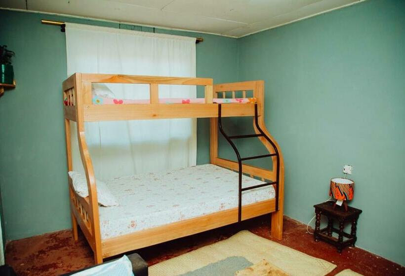 Emmy S Backpackers Hostel