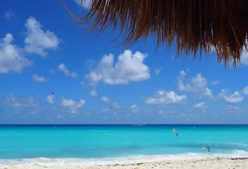 Solymar Beach Condos